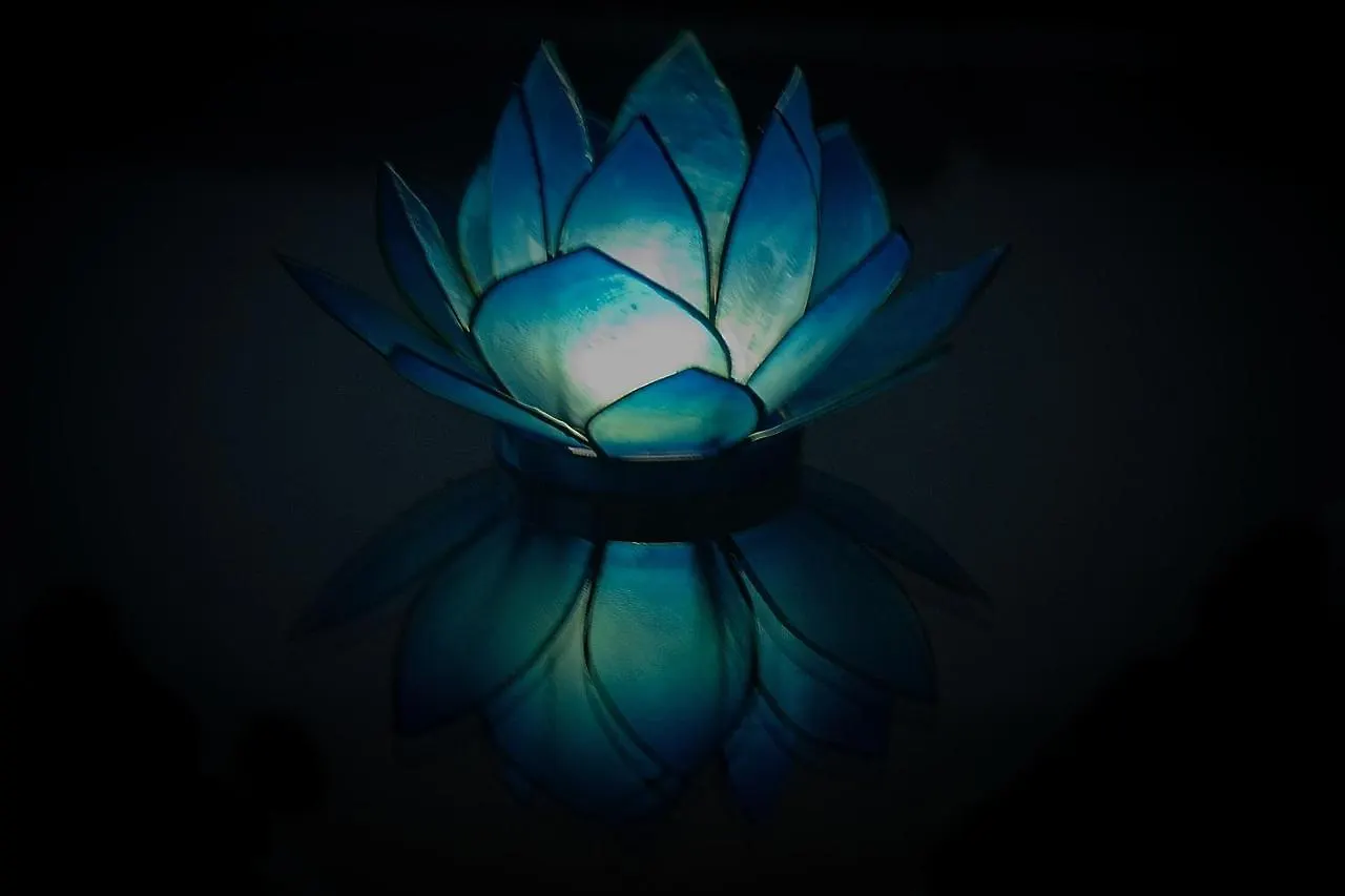 Blue Lotus Apartment Wien 0*,